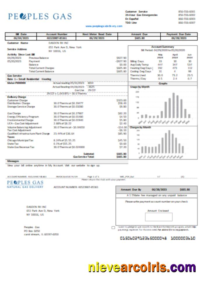 Illinois Peoples Gas utility business bill